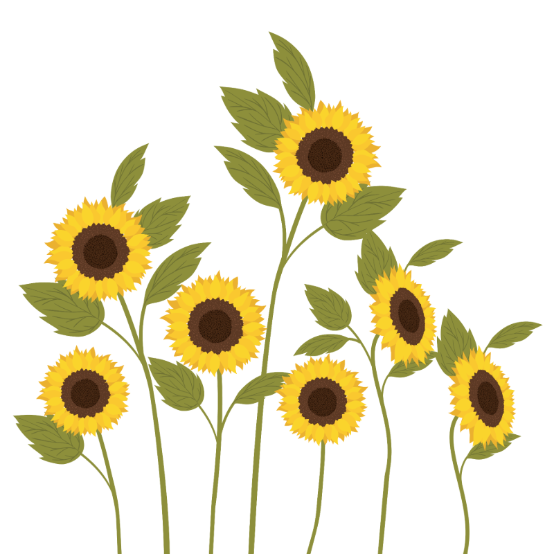 Sunflower Logo